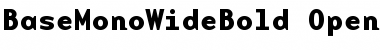 BaseMono WideBold Font