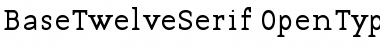 BaseTwelveSerif Regular Font
