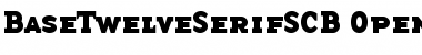 BaseTwelveSerifSCB Font