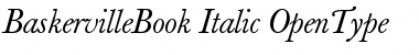 Berthold Baskerville Book Italic Font