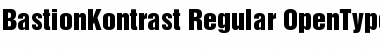 BastionKontrast-Regular Regular Font