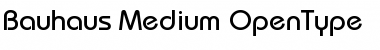 Bauhaus Regular Font