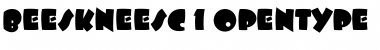 BeeskneesC Regular Font