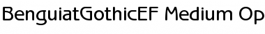 Download BenguiatGothicEF-Medium Font Download BenguiatGothicEF-Medium Font