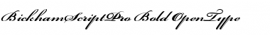 Bickham Script Pro Bold