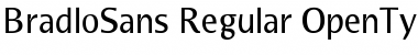 BradloSans&nbsp;Regular
