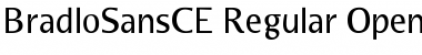 BradloSansCE Regular BradloSansCE Regular