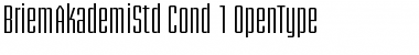 Briem Akademi Std Font