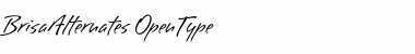 Download Brisa Alternates Font