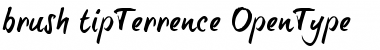 brush-tipTerrence Regular