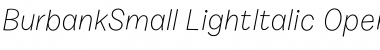 Burbank Small Light Italic