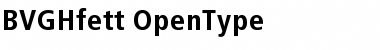 Download BVGHfett Font Download BVGHfett Font