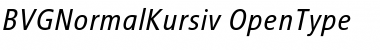 BVGNormalKursiv Regular Font