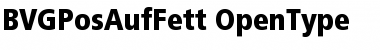 BVGPosAufFett Font