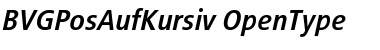 Download BVGPosAufKursiv Font