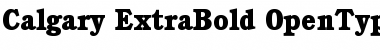 Download Calgary-ExtraBold Font