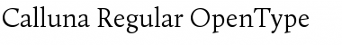 Calluna Regular Font