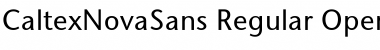 CaltexNovaSans Font