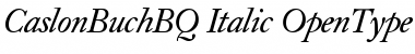 Download Caslon Buch BQ Font