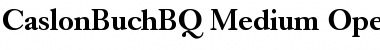 Download Caslon Buch BQ Font