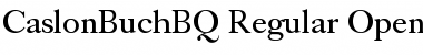 Download Caslon Buch BQ Font