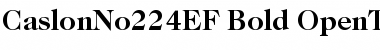 CaslonNo224EF-Bold Regular Font