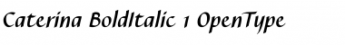 Caterina Bold Italic Font