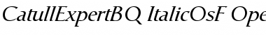 Download Catull Expert BQ Font