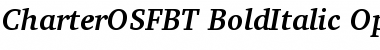 Bitstream Charter Bold Italic OSF