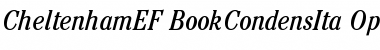CheltenhamEF-BookCondensIta Regular Font