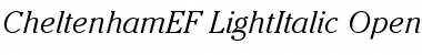 CheltenhamEF-LightItalic Font
