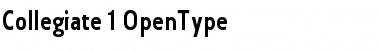 Download Collegiate Font