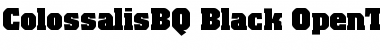 Colossalis BQ Regular Colossalis BQ Regular