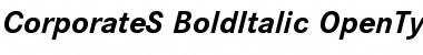 Corporate S Font