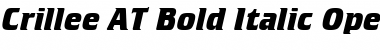 Crillee AT Bold Italic Regular Font