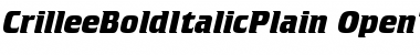 Crillee Bold Italic Plain