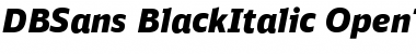 DB Sans&nbsp;Black Italic