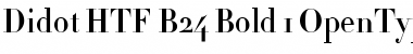 Didot HTF-B24-Bold Font