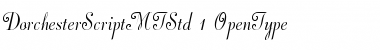 Dorchester Script MT Std Regular Font