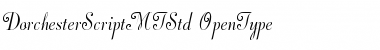 Dorchester Script MT Std Regular Font