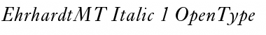 Ehrhardt MT Italic