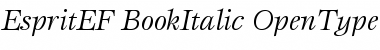 EspritEF BookItalic Font