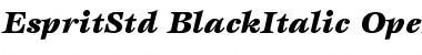 ITC Esprit Std Black Italic Font