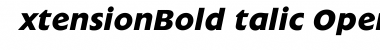 ExtensionBoldItalic&nbsp;Regular