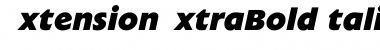 ExtensionExtraBoldItalic&nbsp;Regular