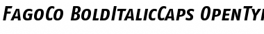 FagoCo BoldItalicCaps Font