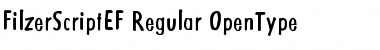 FilzerScriptEF&nbsp;Regular