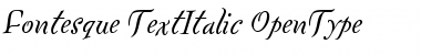 Fontesque Text Italic Font