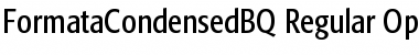 Formata Condensed BQ Font
