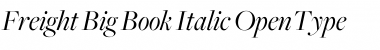 Freight Big Book Italic Font